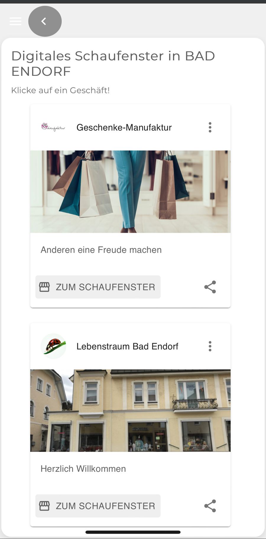 Präsentation vom Digitalen-Schaufenster und der Digitalen-Bonuskarten in Bad Endorf